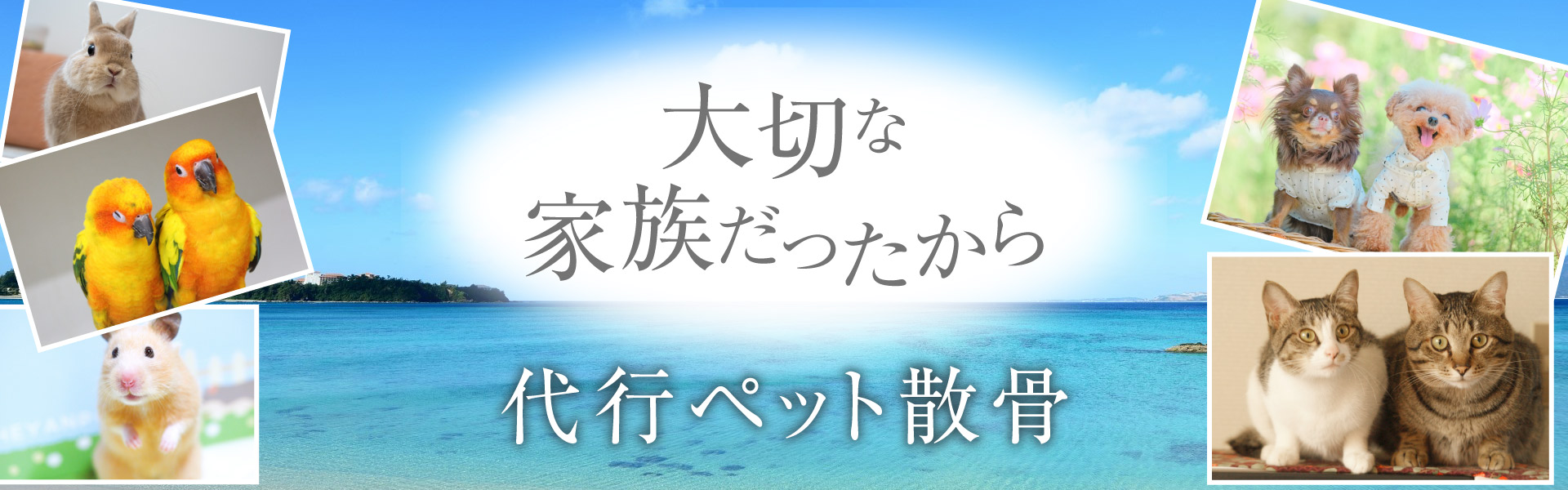 大切な家族だったから